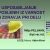 izobraževanje 01.jpg
